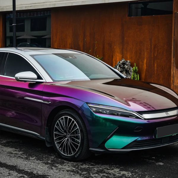 Pet Chameleon Green-red Car Vinyl Wrapping Film - Image 6