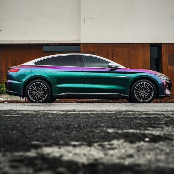 Pet Chameleon Green-red Car Vinyl Wrapping Film - Image 8